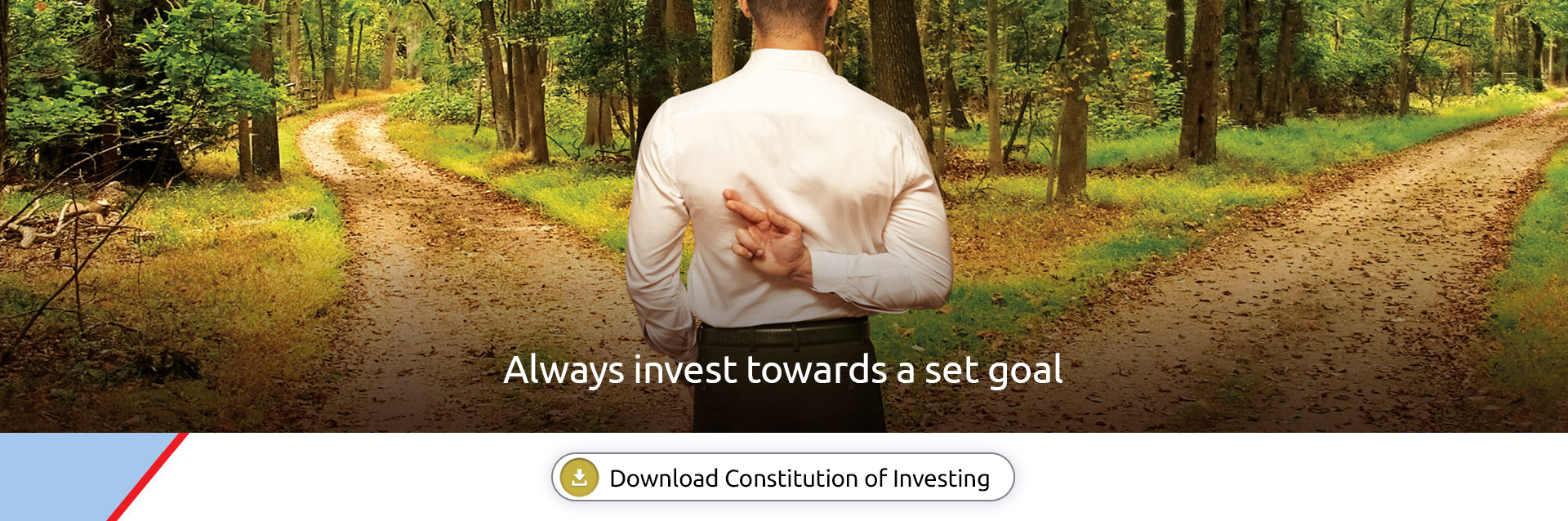 Constitution of Investing